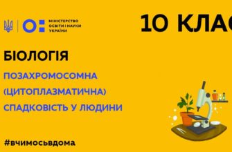 Онлайн урок 10 клас. Біологія. Позахромосомна (цитоплазматична) спадковість у людини