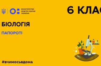 Онлайн урок 6 клас. Біологія. Папороті