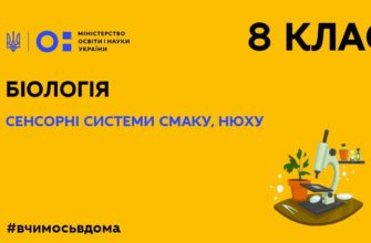 Онлайн урок 8 клас. Біологія. Сенсорні системи смаку, нюху